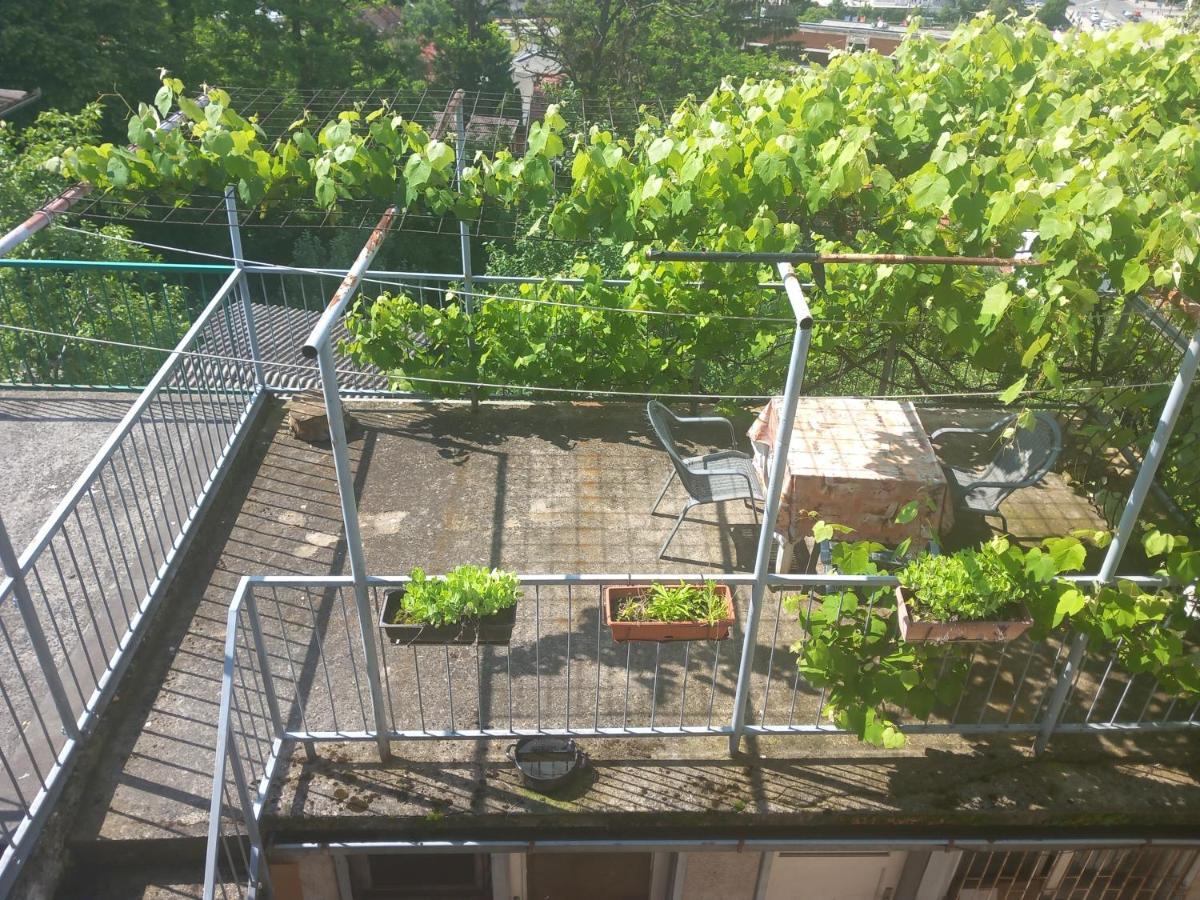 Apartmans Adi Szarajevó Kültér fotó
